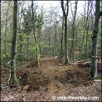 Improved trails at Blandford Freeride Park - Second Image